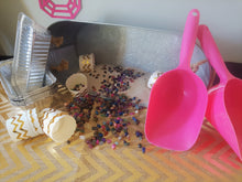 Load image into Gallery viewer, Party Box - She's a Gem! Geology