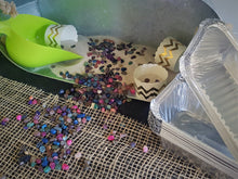 Load image into Gallery viewer, Party Box - Let's Rock! Geology