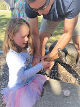 Load image into Gallery viewer, Party Box - She's a Gem! Geology